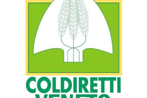 Coldiretti Veneto logo